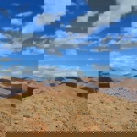 spravceid-5338