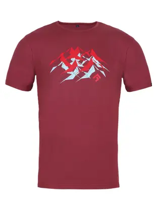 FLASH 5.0
